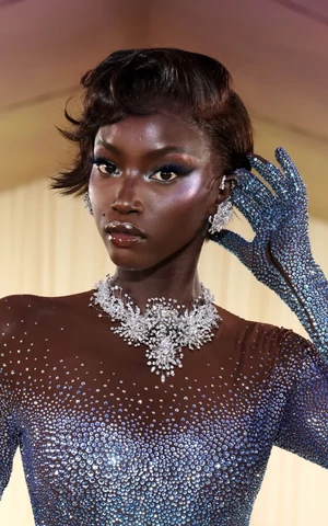 Крупным планом. Украшения на Met Gala 2024: от броши на затылке до птицы Жана Шлюмберже 